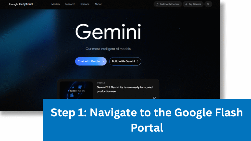 Screenshot placeholder: Home page of Google Flash